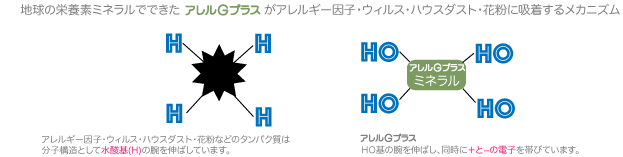 地球の栄養素ミネラルでできたアレルGプラスがアレルギー因子・ウイルス・ハウスダスト・花粉に吸着するメカニズム