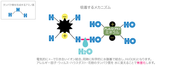 吸着するメカニズム